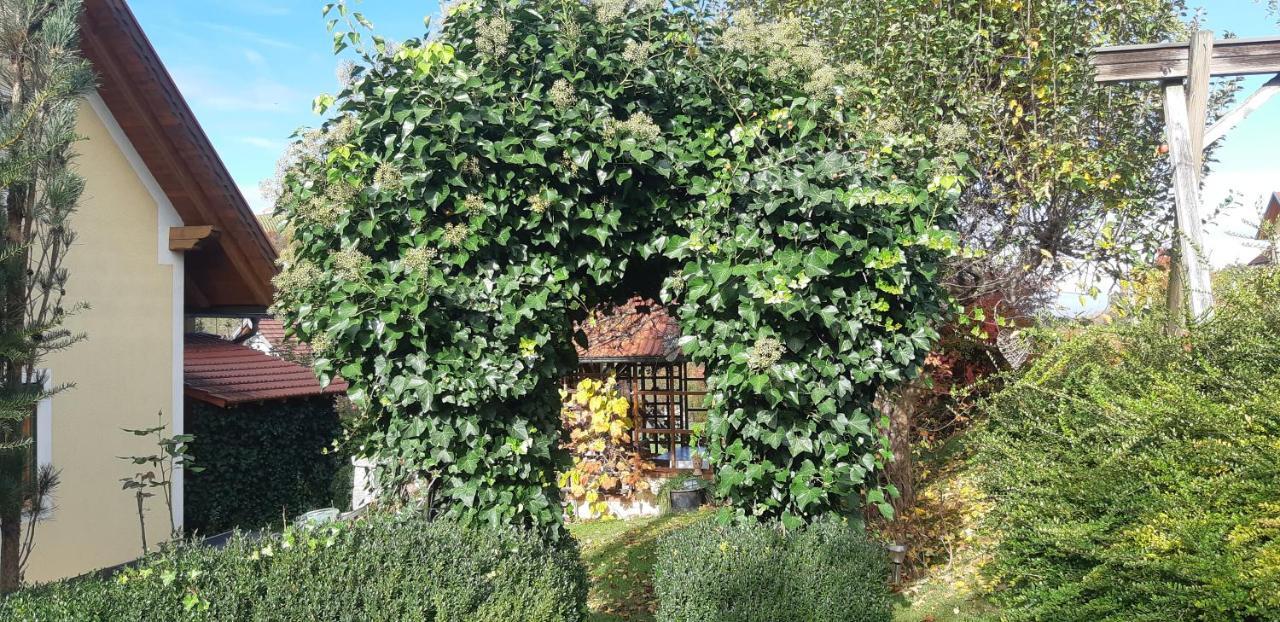 Anna'S Home - Ferienwohnungen Ratsch an der Weinstraße Exteriör bild